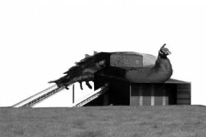 kieswerk_4_gross.jpg